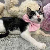 Thumbnail photo of Nine #1