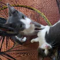 Thumbnail photo of Gloria & Grayson #1