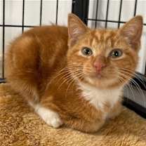 Thumbnail photo of Clem #4