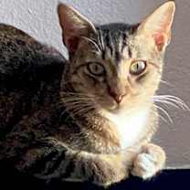 Thumbnail photo of Dax #3