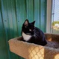 Thumbnail photo of Dona #4