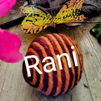 Thumbnail photo of Rani #1