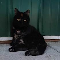 Thumbnail photo of Kindra #4