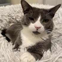 Thumbnail photo of Hayden #1