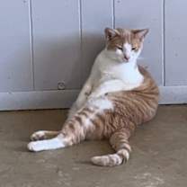 Thumbnail photo of Lottie #1