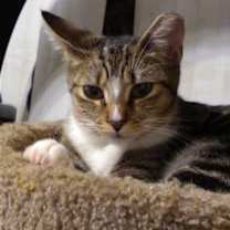 Thumbnail photo of Solstice #3