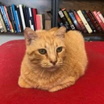 Thumbnail photo of RIZHIK #3