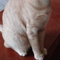 Thumbnail photo of Ting-Ting #3