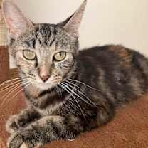 Thumbnail photo of Hanna #2