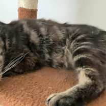 Thumbnail photo of Hanna #3