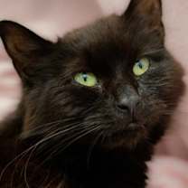 Thumbnail photo of Lucky FKA LeeLoo #2