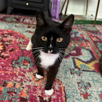 Thumbnail photo of Darwin #3