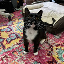 Thumbnail photo of Darwin #4