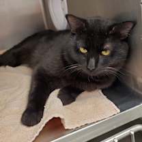 Thumbnail photo of Booker #1