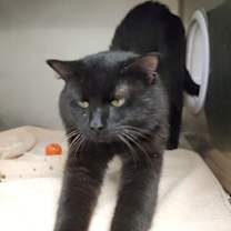 Thumbnail photo of Booker #2