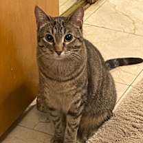 Thumbnail photo of AIlison #2