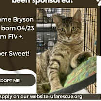 Thumbnail photo of Bryson #1