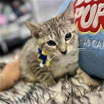 Thumbnail photo of Camila #2