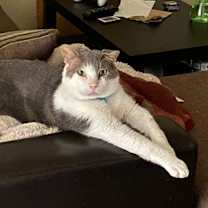 Thumbnail photo of Jack #3