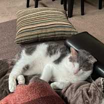 Thumbnail photo of Jack #4