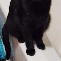 Thumbnail photo of Reece Whiskerspoon #4