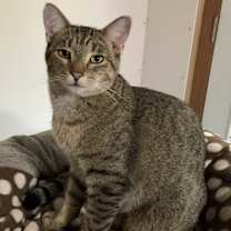 Thumbnail photo of Kevin #1