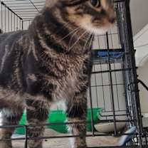 Thumbnail photo of Marcus #1