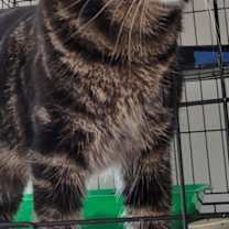 Thumbnail photo of Marcus #2