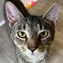 Thumbnail photo of Sam #1