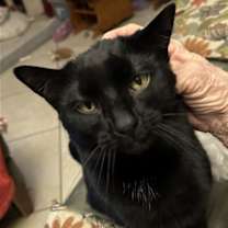 Thumbnail photo of Jack #1