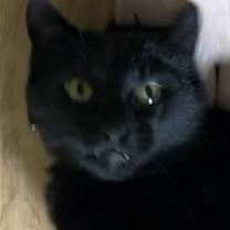Thumbnail photo of Jack #2