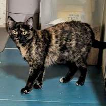 Thumbnail photo of Meg #1