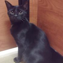 Thumbnail photo of Magic #1