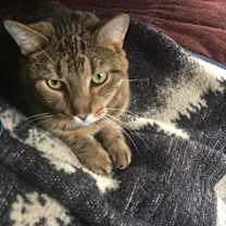 Thumbnail photo of Simon #1