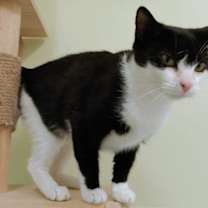 Thumbnail photo of Susie 4792C #4