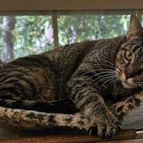 Thumbnail photo of Sally 4788C #2