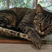 Thumbnail photo of Sally 4788C #3