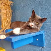 Thumbnail photo of Bella #2