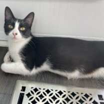 Thumbnail photo of Junie #2