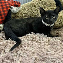 Thumbnail photo of Clarice baby #3