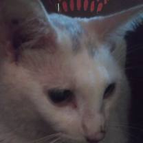 Thumbnail photo of Isabell #3
