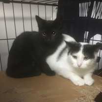 Thumbnail photo of Jackie bonded with Alexis #3