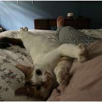 Thumbnail photo of Luna #2