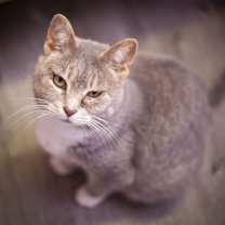 Thumbnail photo of Hailey #1