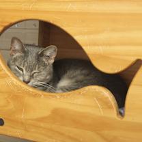 Thumbnail photo of Hailey #2