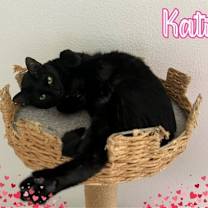 Thumbnail photo of Katie #1
