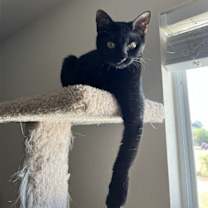 Thumbnail photo of Katie #2