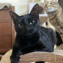 Thumbnail photo of Katie #3