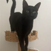 Thumbnail photo of Katie #4