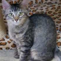 Thumbnail photo of Rainbow #2